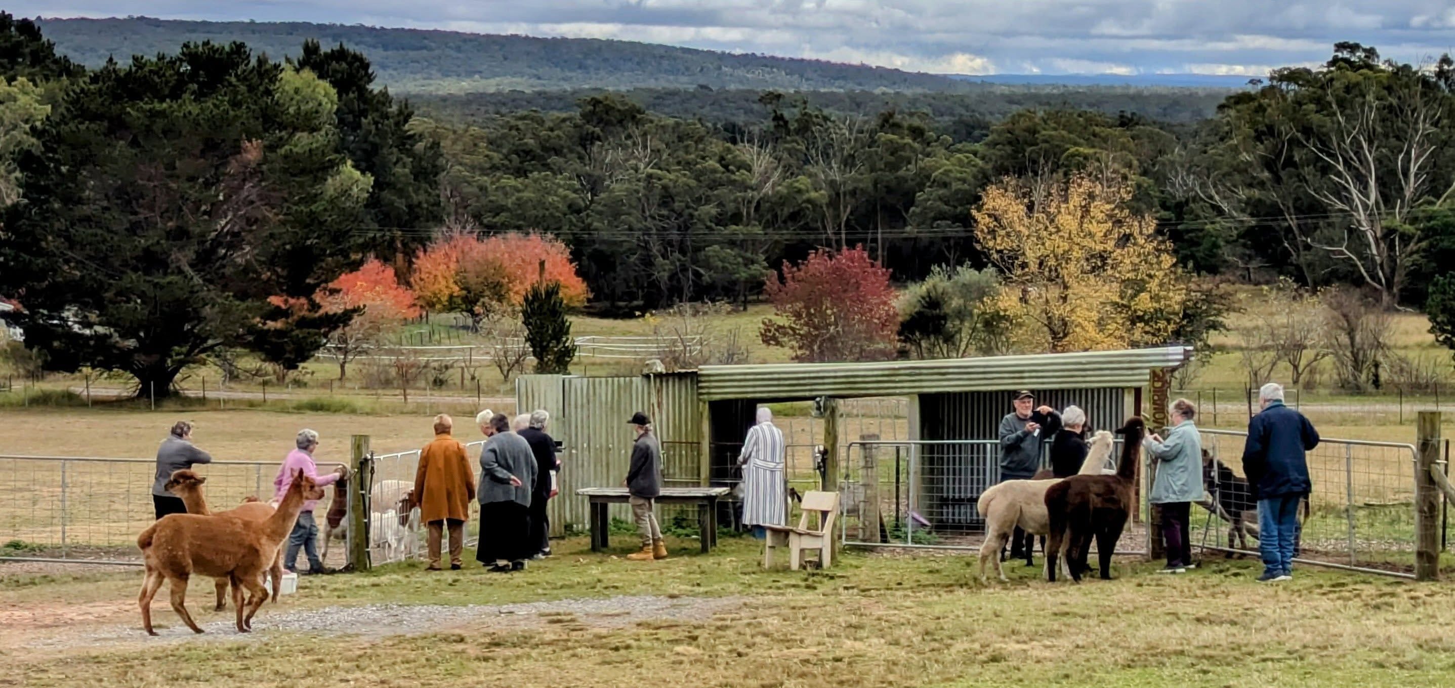 12th May 2025 Pine Ridge Miniature Donkey Public Day Tour Image -6827c95a6692b