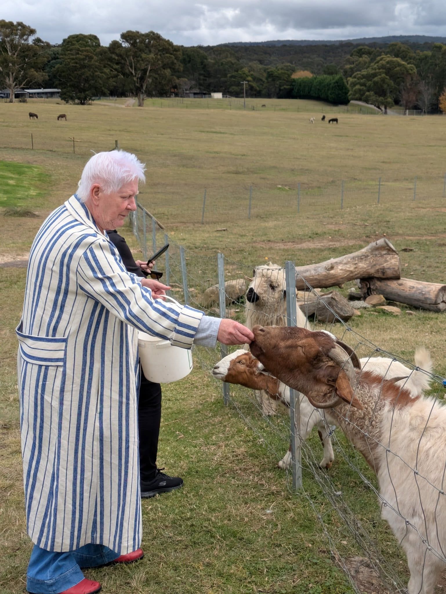 12th May 2025 Pine Ridge Miniature Donkey Public Day Tour Image -6827c95b5e69d