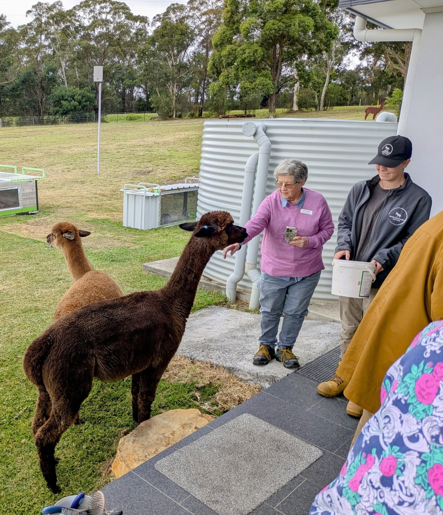 12th May 2025 Pine Ridge Miniature Donkey Public Day Tour Image -6827c95be3562