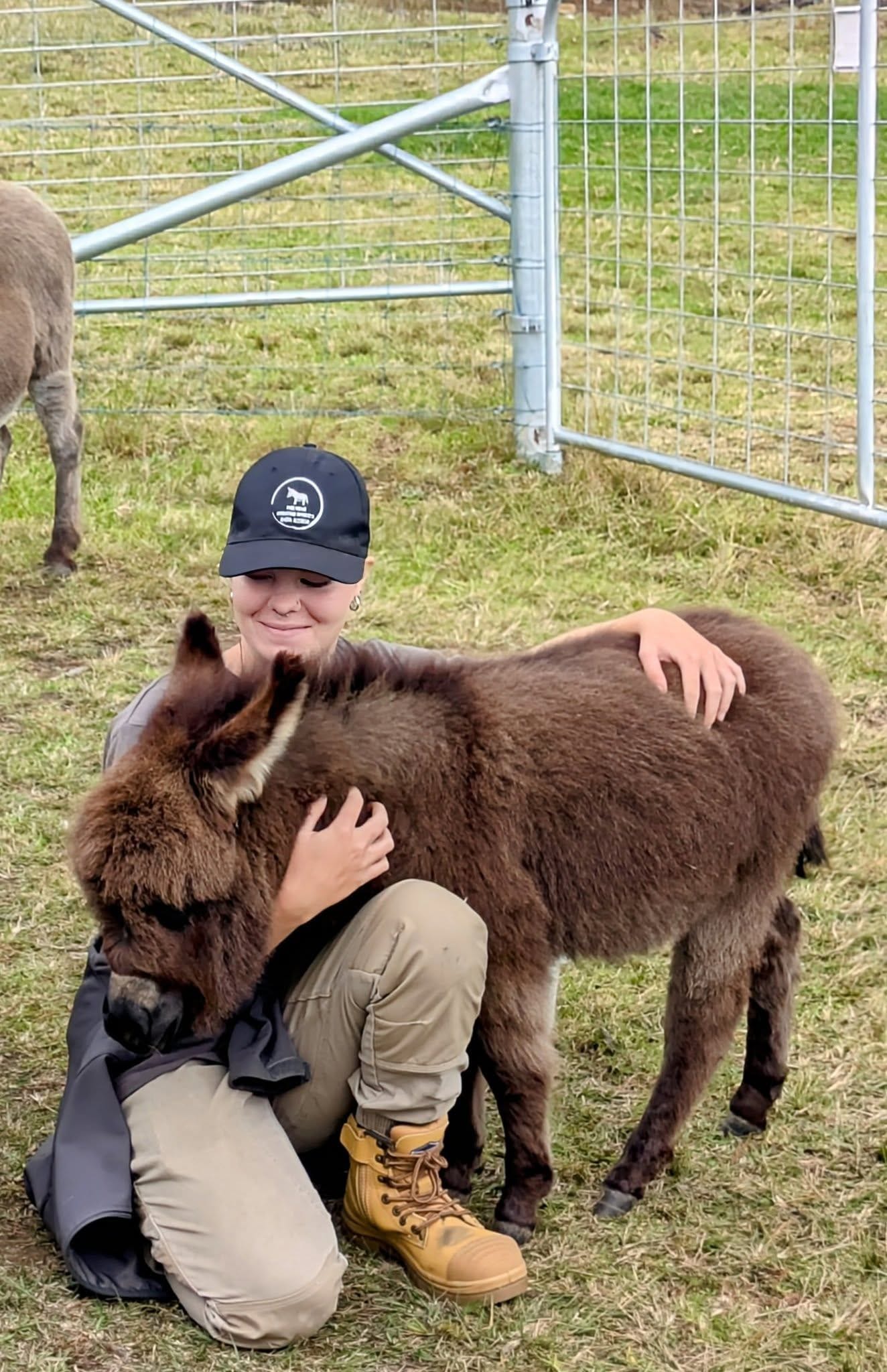 12th May 2025 Pine Ridge Miniature Donkey Public Day Tour Image -6827c95cdaf8b