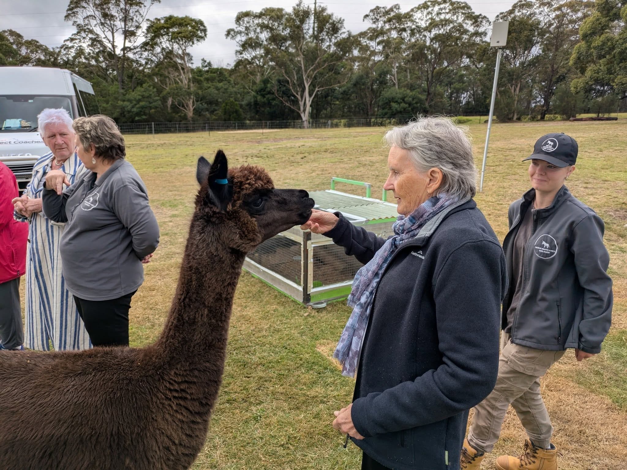 12th May 2025 Pine Ridge Miniature Donkey Public Day Tour Image -6827c95d6666b