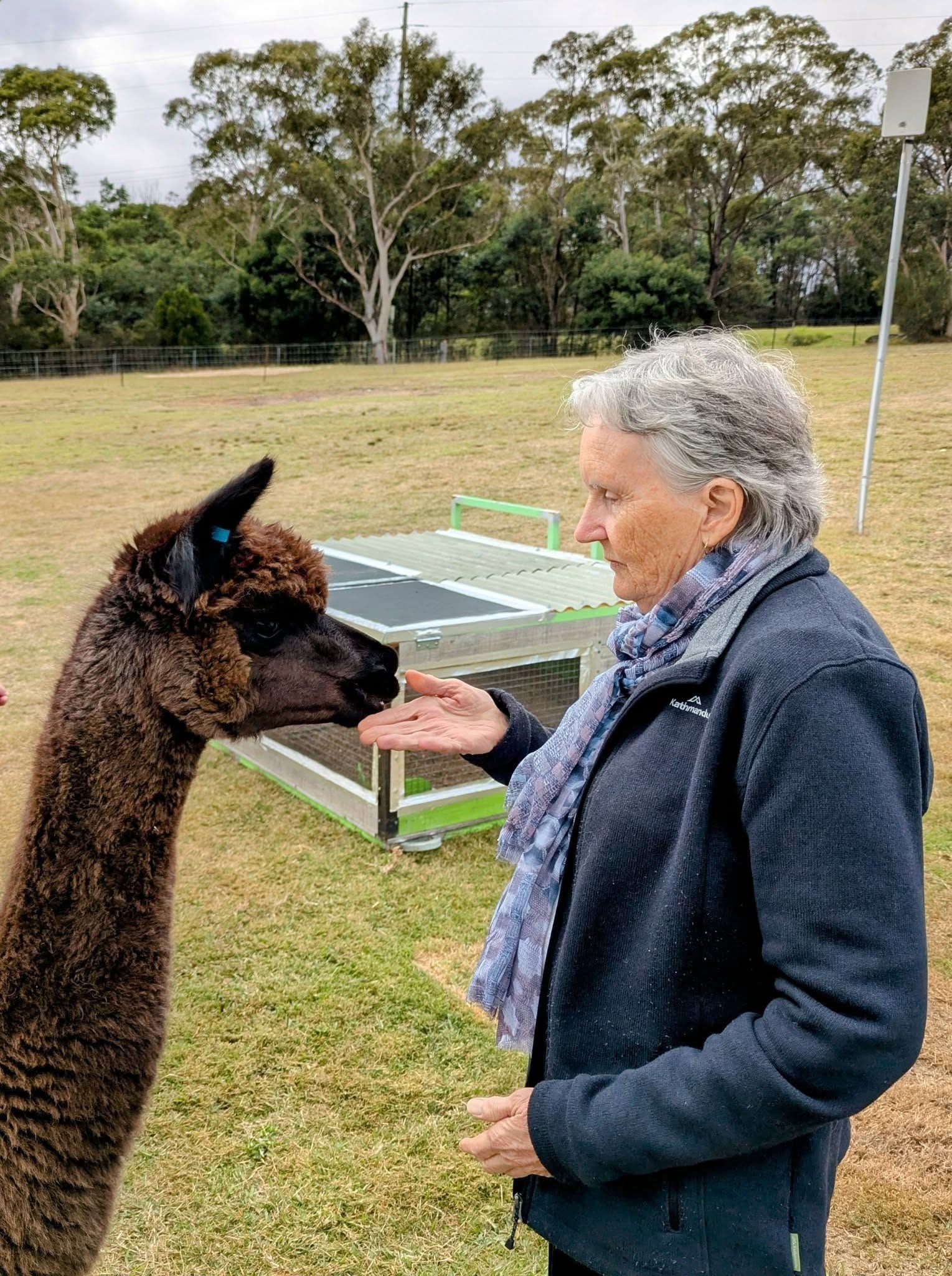 12th May 2025 Pine Ridge Miniature Donkey Public Day Tour Image -6827c95f09851