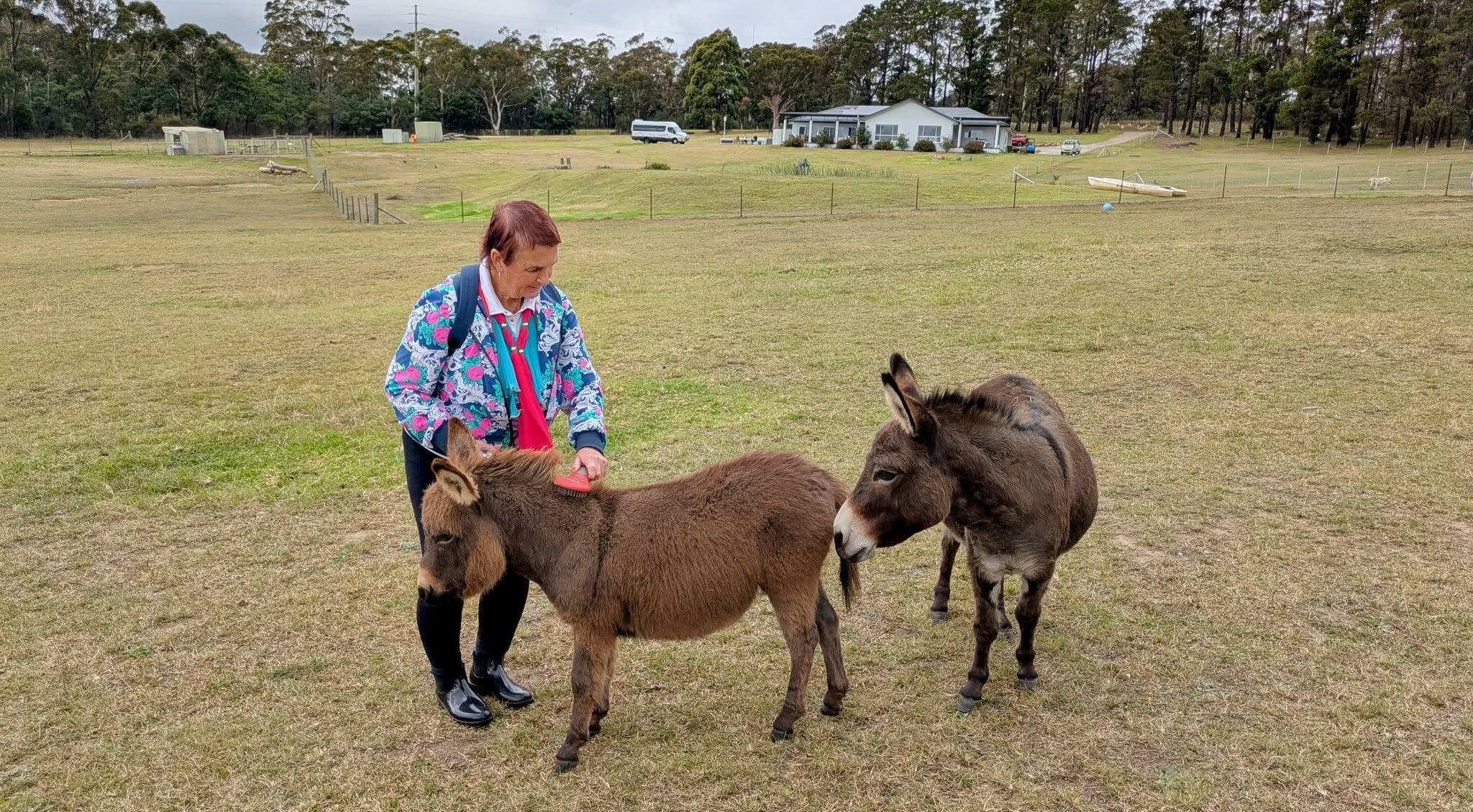 12th May 2025 Pine Ridge Miniature Donkey Public Day Tour Image -6827c95f8d170