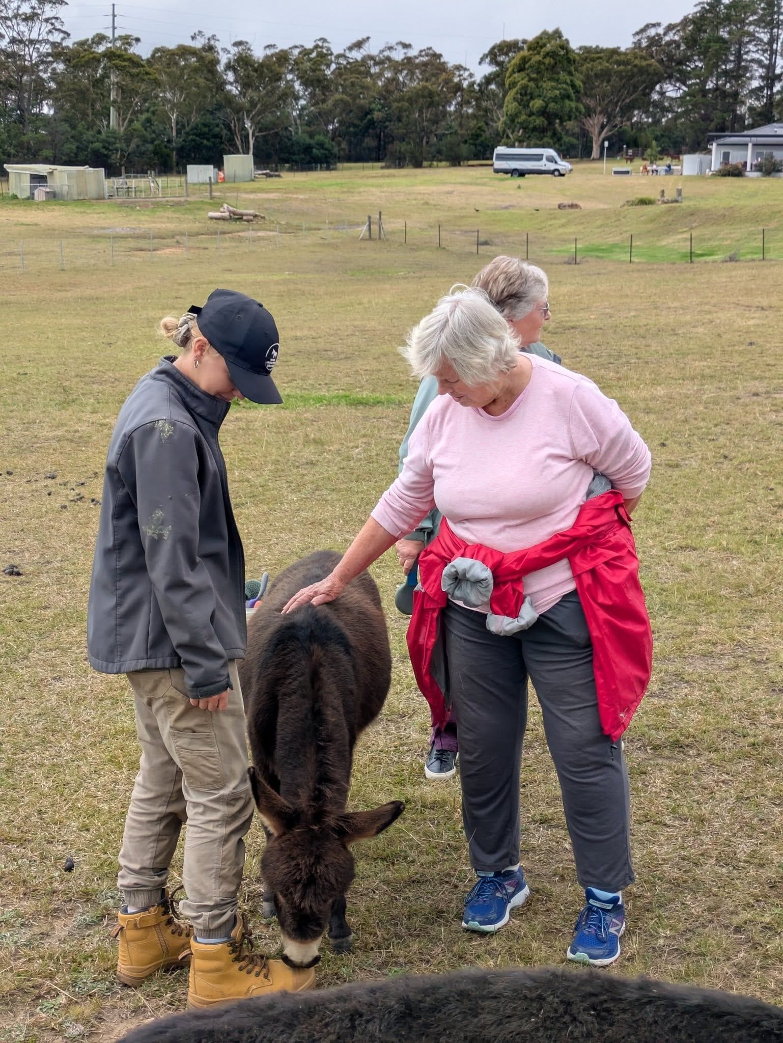 12th May 2025 Pine Ridge Miniature Donkey Public Day Tour Image -6827c96087d26