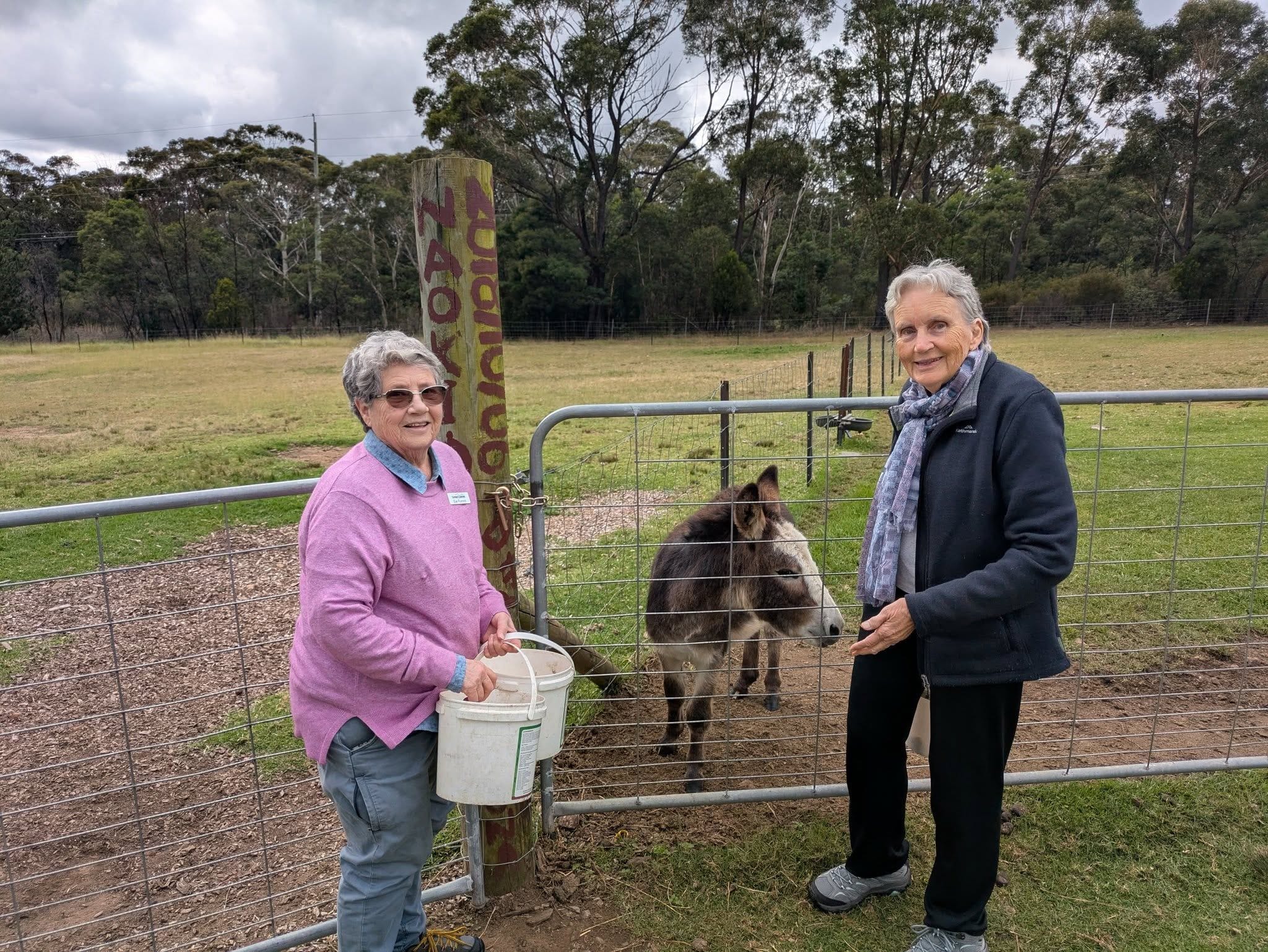 12th May 2025 Pine Ridge Miniature Donkey Public Day Tour