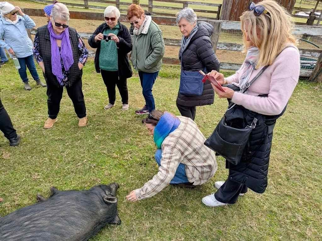 13th June 2025 - Where Pigs Might Fly Public Day Tour Image -684e937b691fe