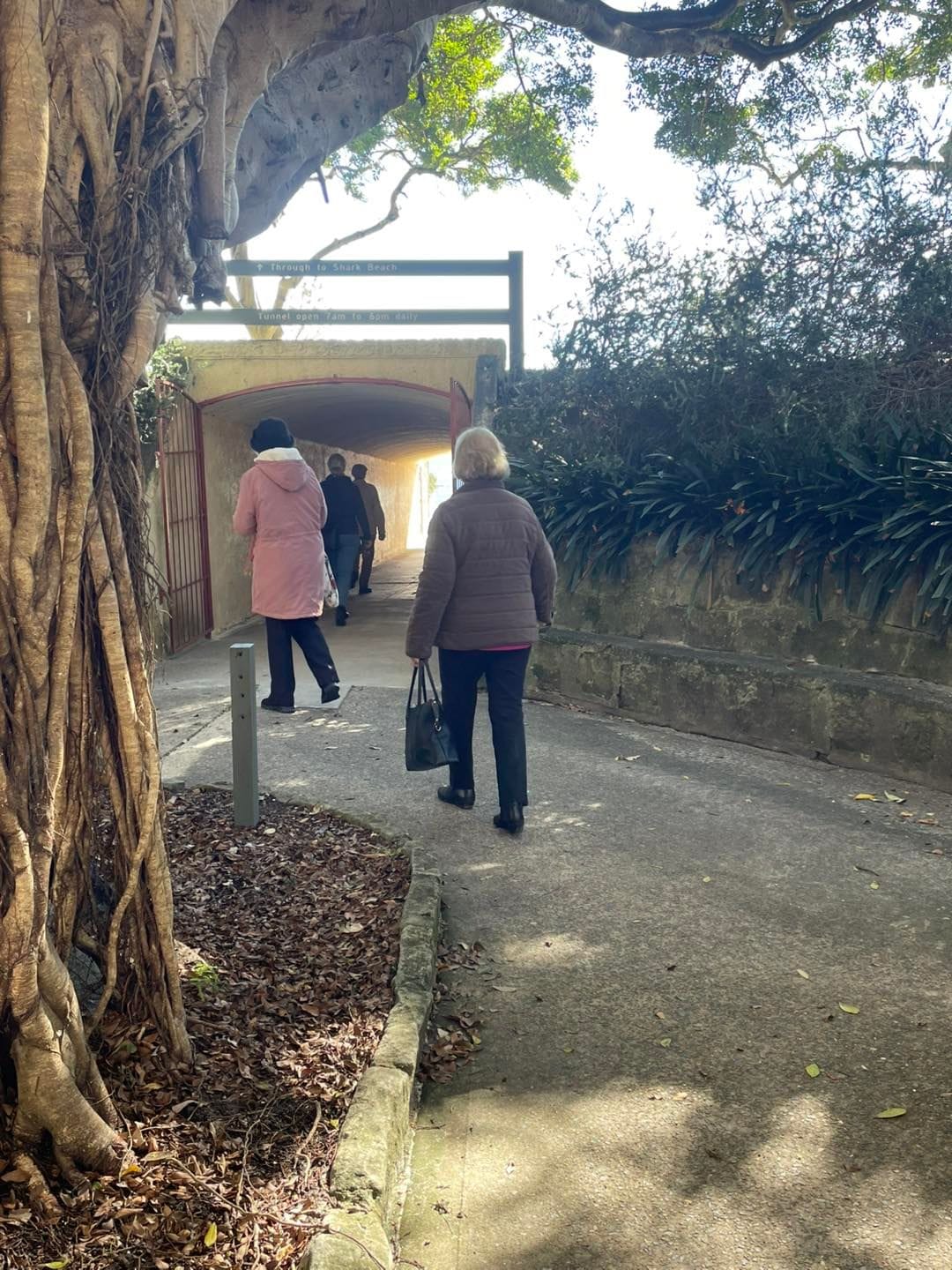 Greycliffe House and Nielsen Park Heritage Tour - 16th June 2025 Image -6853337039912