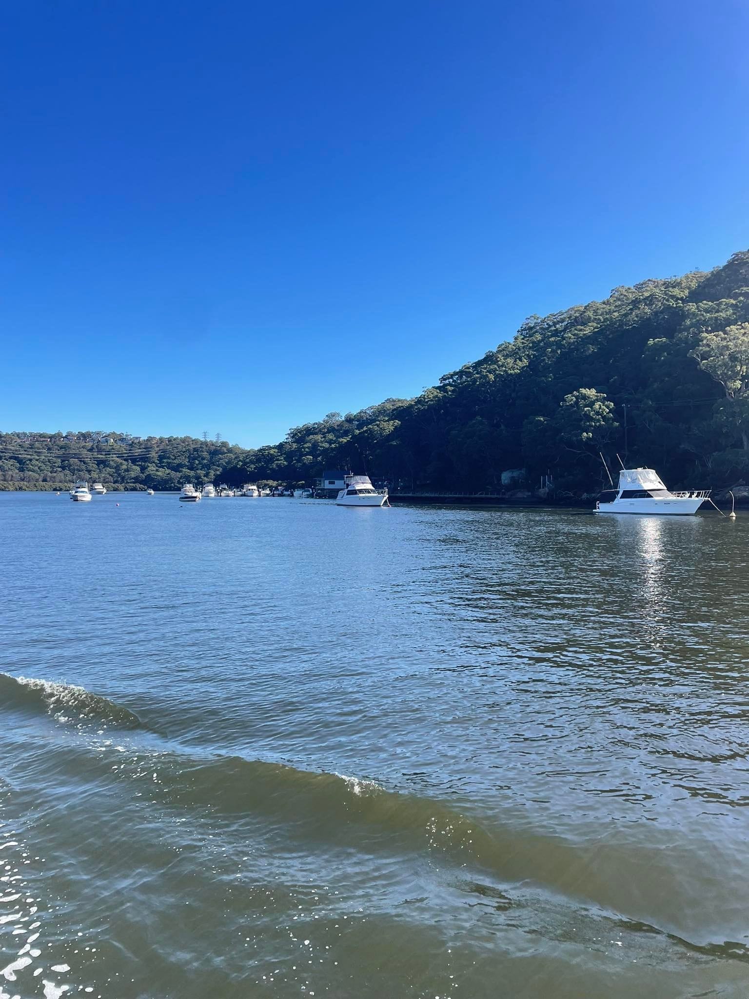 Bass & Fliders Georges Rive Lunch Cruise Public Day Tour 18th June 2025 Image -68591be98d1c8
