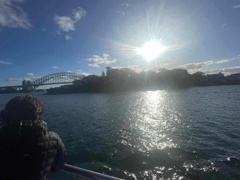 26th June 2025 Captain Cook Cruises High Tea Lunch Cruise Public Day Tour Image -686bae1294ff8