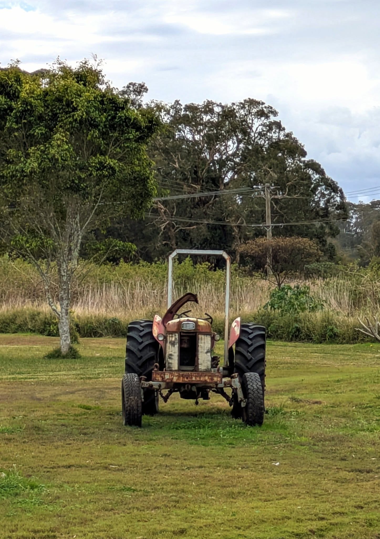 Cookabarra Barramundi Farm Friday 18th July 2025 Public Day Tour Image -6881593c4a4b9