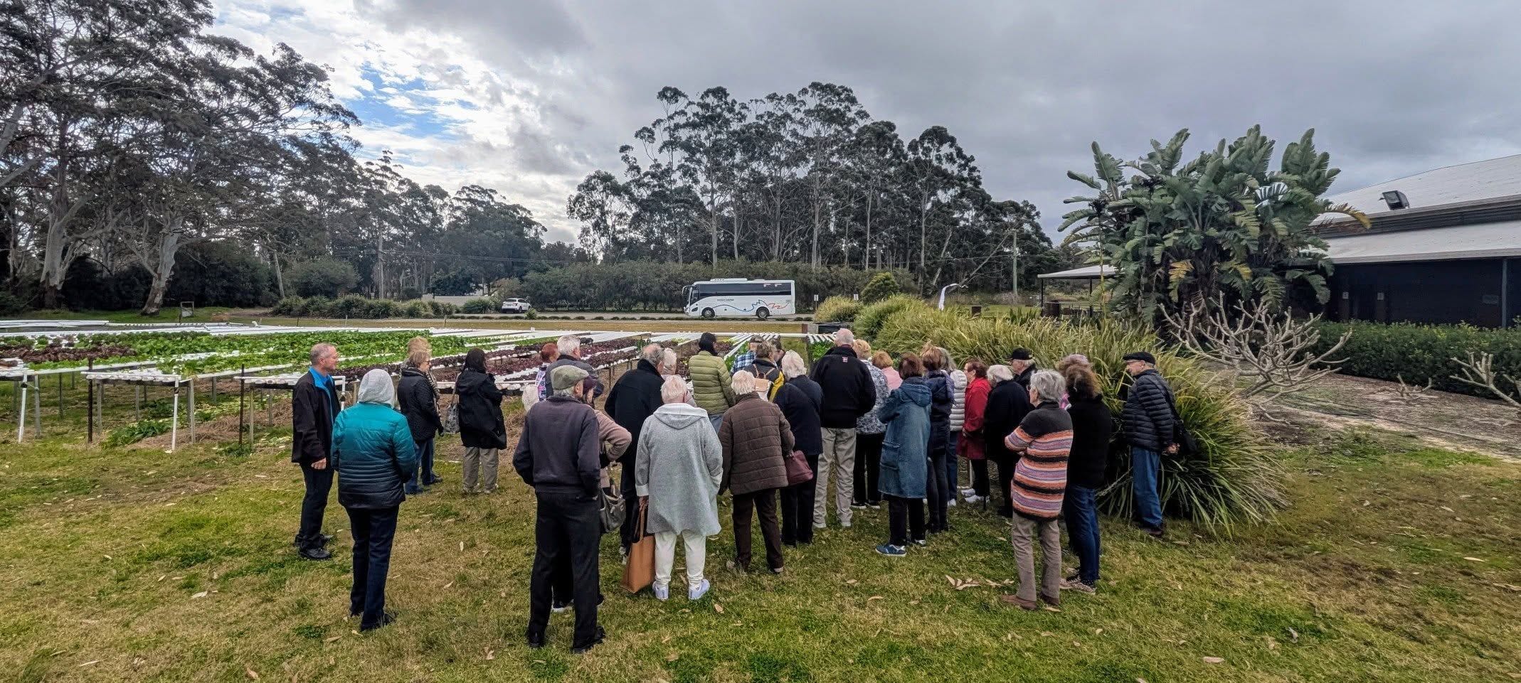 Cookabarra Barramundi Farm Friday 18th July 2025 Public Day Tour Image -6881593e40cbb