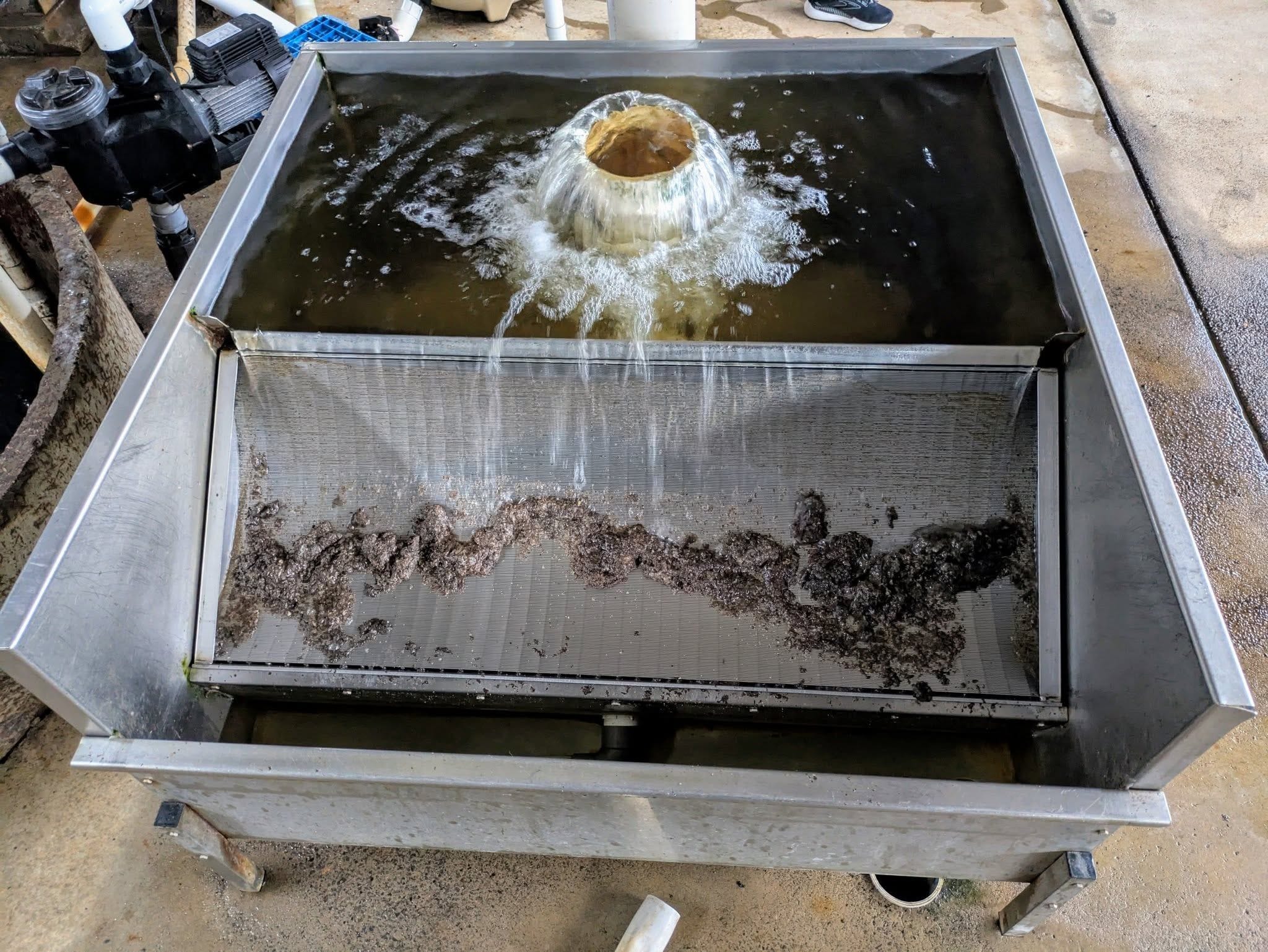 Cookabarra Barramundi Farm Friday 18th July 2025 Public Day Tour Image -6881593f42b5f