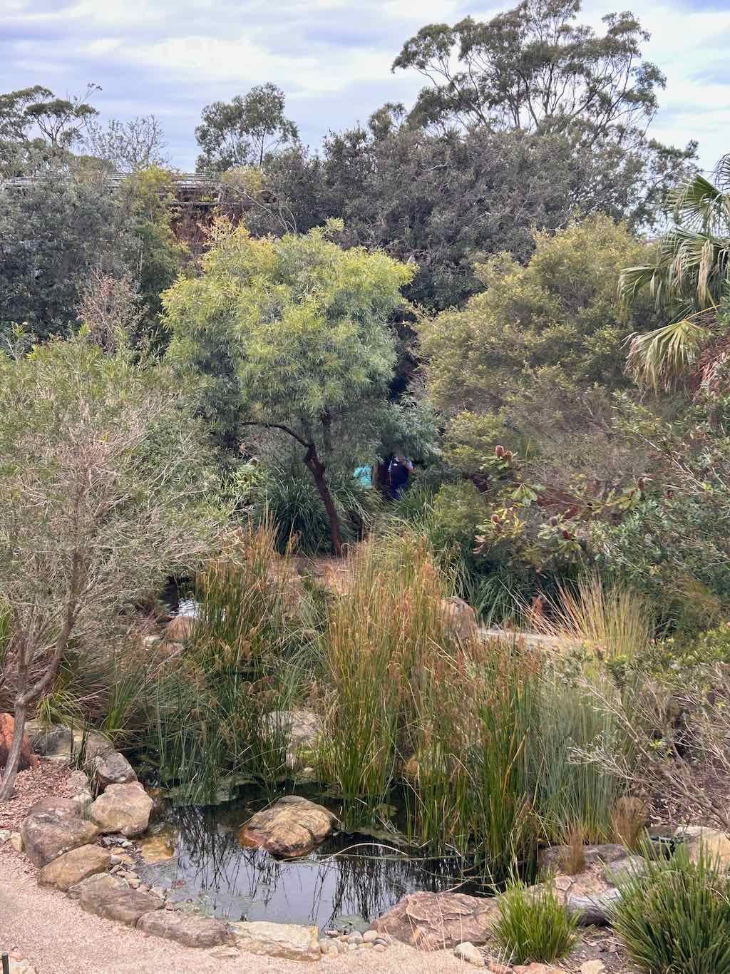 Taronga Zoo Wildlife Park : August 2025 Public Tour Image -68ae45bee6a62