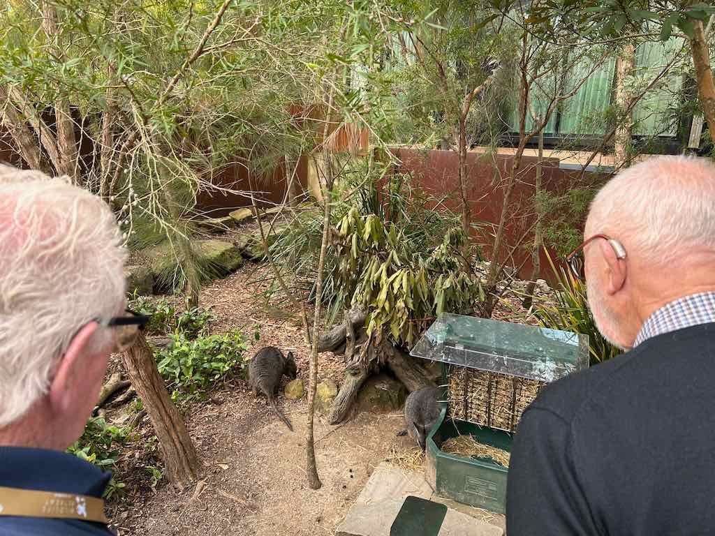 Taronga Zoo Wildlife Park : August 2025 Public Tour Image -68ae45c22a08b