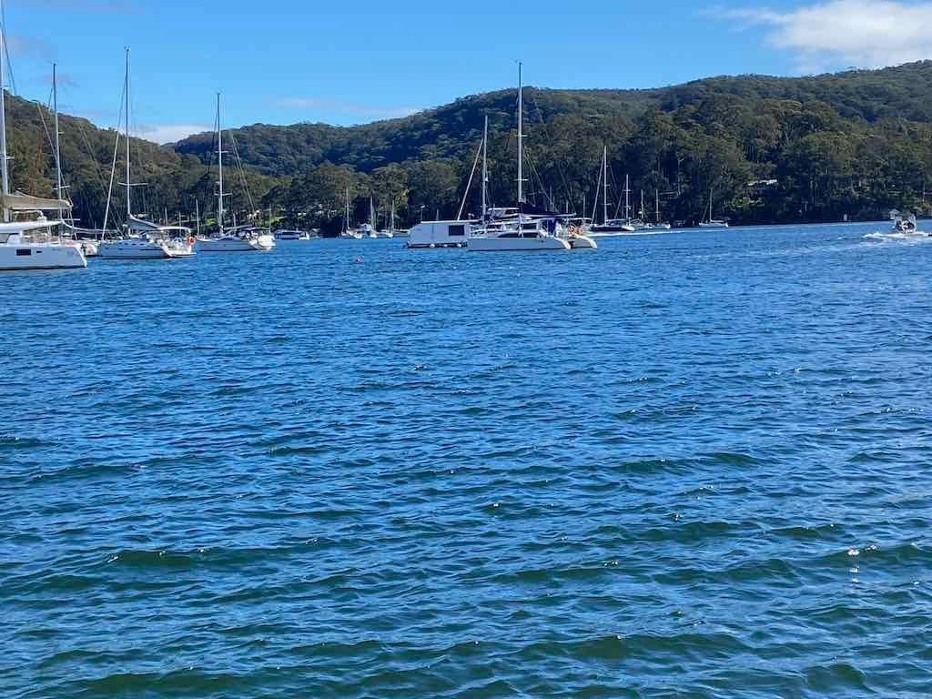 Taronga Zoo Wildlife Park : August 2025 Public Tour Image -68ae45c90c047