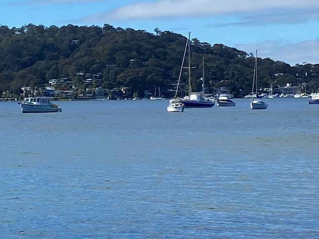 Taronga Zoo Wildlife Park : August 2025 Public Tour Image -68ae45c98f184