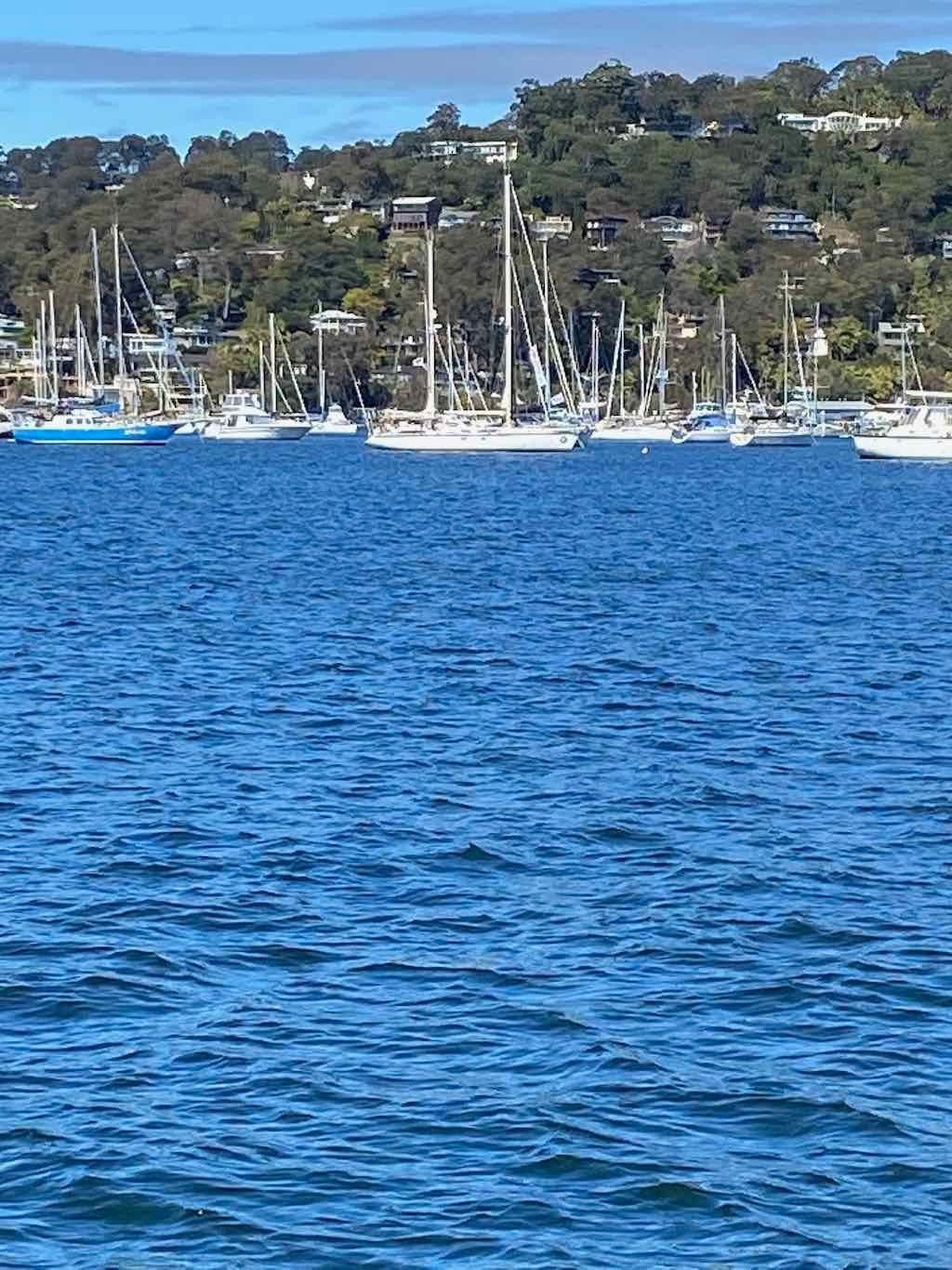 Taronga Zoo Wildlife Park : August 2025 Public Tour Image -68ae45ca92943