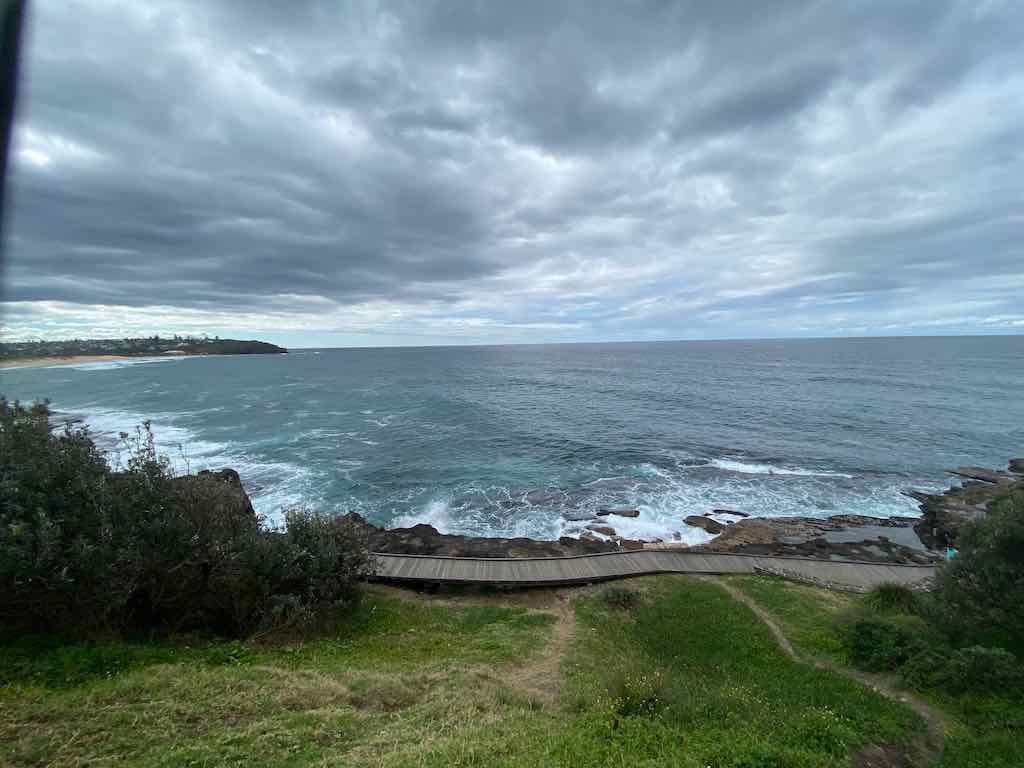 Taronga Zoo Wildlife Park : August 2025 Public Tour Image -68ae45cc516f6