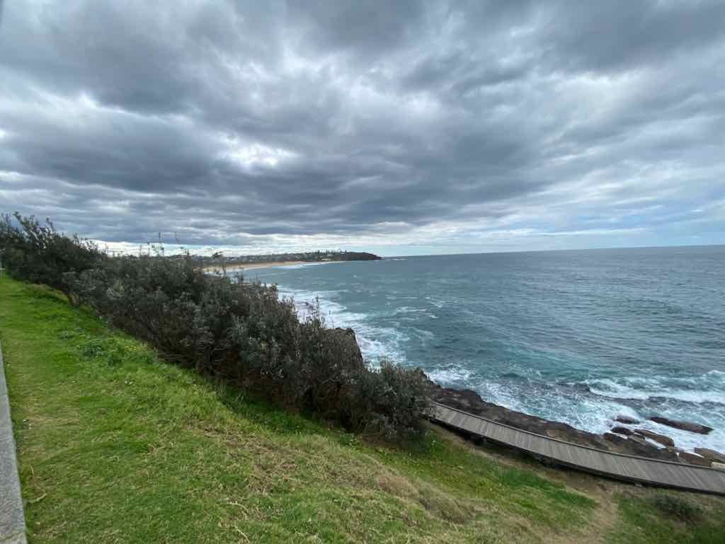 Taronga Zoo Wildlife Park : August 2025 Public Tour Image -68ae45cc8883e