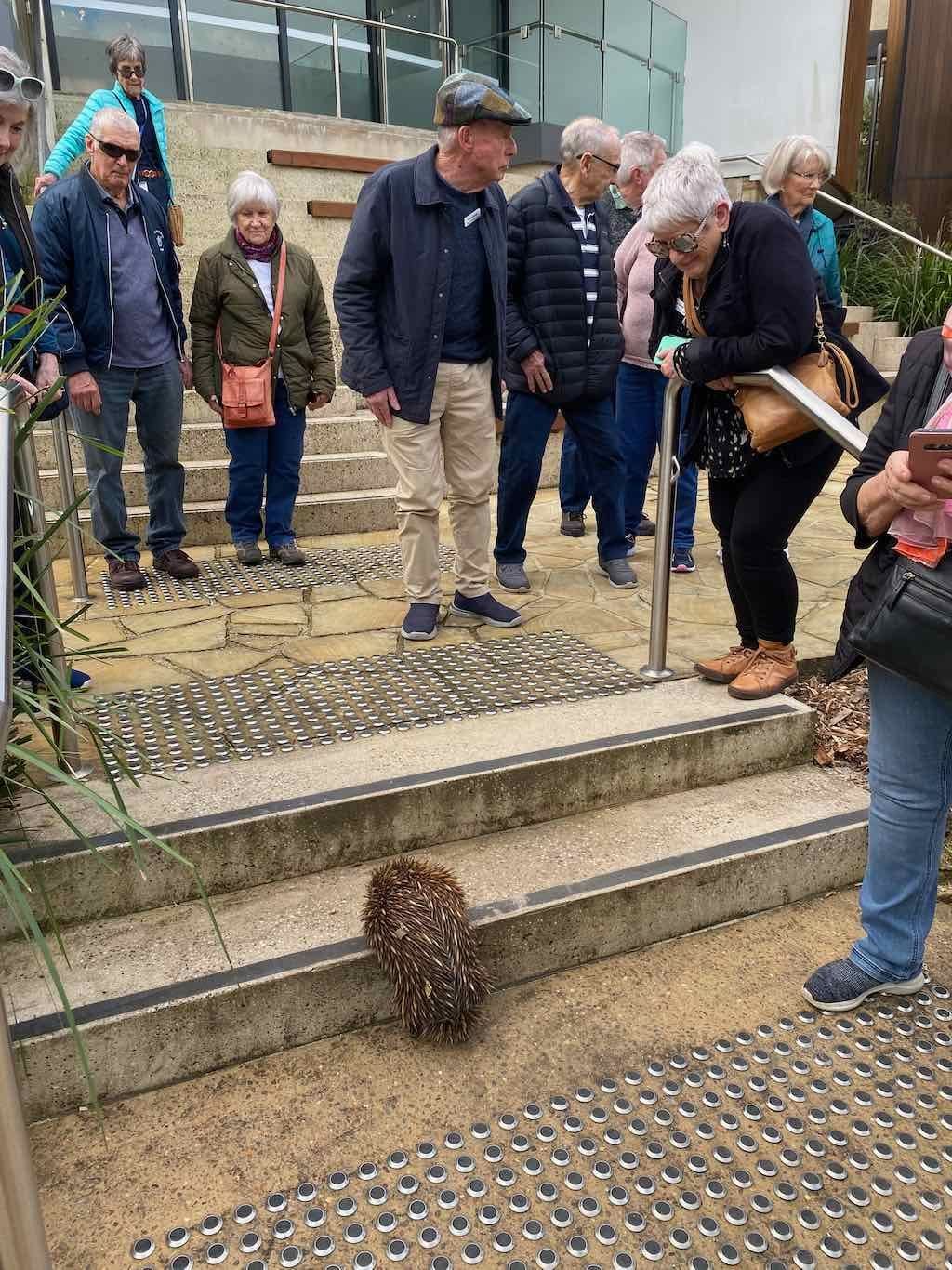 Taronga Zoo Wildlife Park : August 2025 Public Tour Image -68ae45cf08ddf