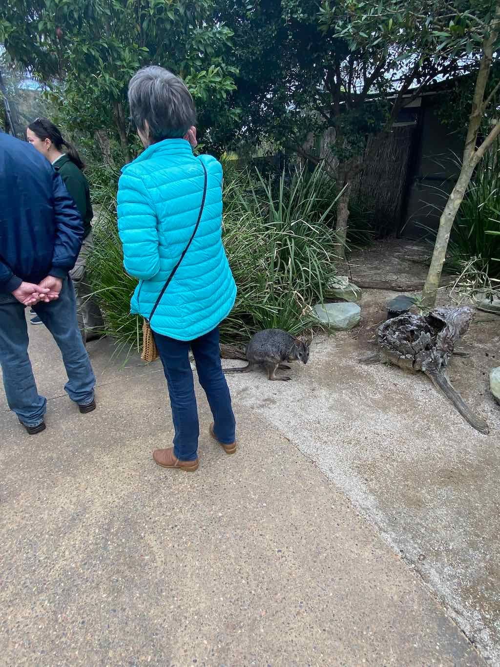 Taronga Zoo Wildlife Park : August 2025 Public Tour Image -68ae45d4c74ad