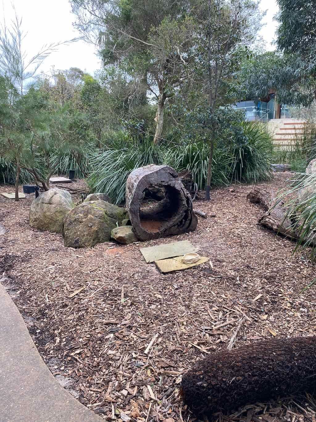 Taronga Zoo Wildlife Park : August 2025 Public Tour Image -68ae45d8e8385