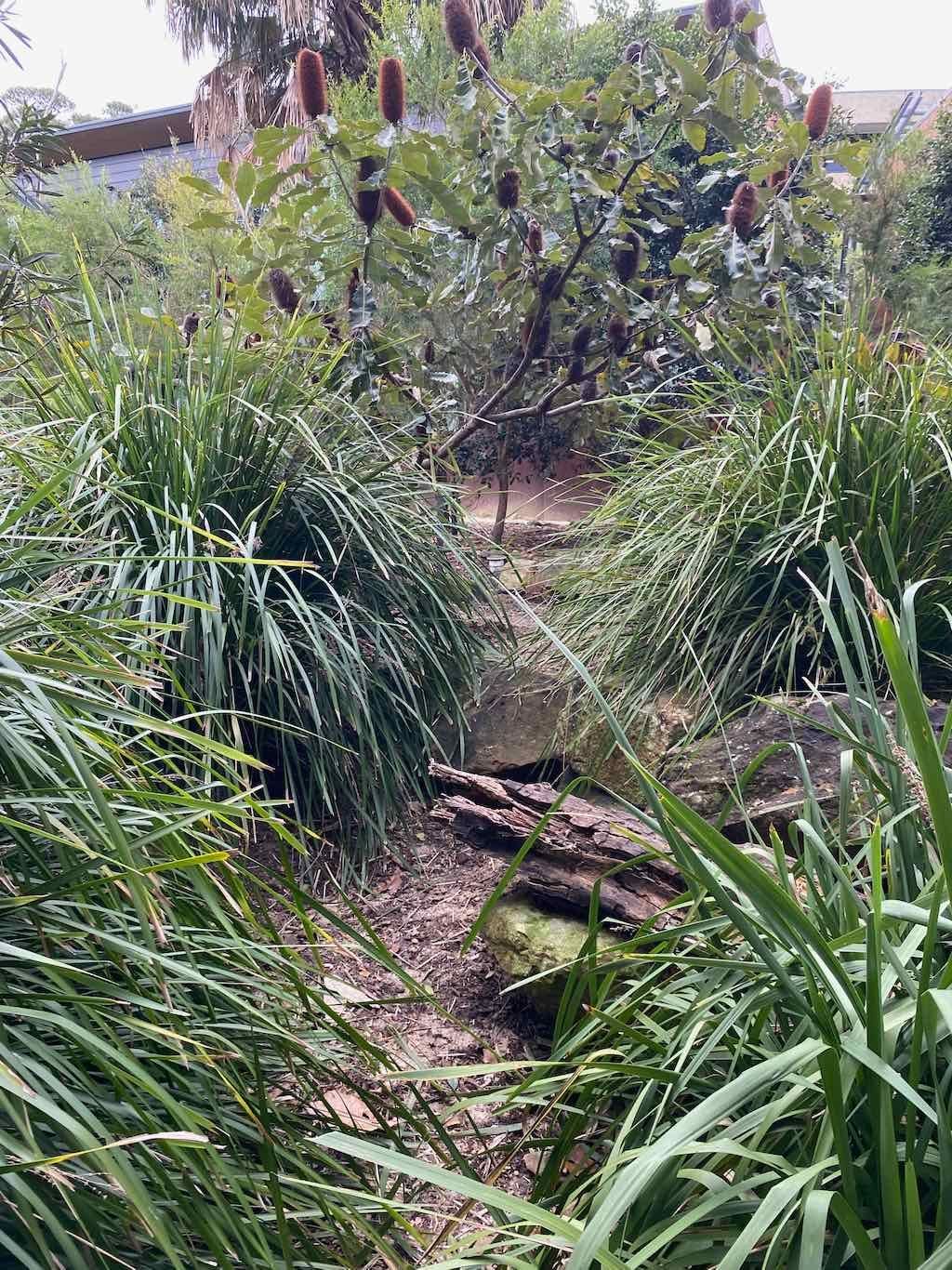 Taronga Zoo Wildlife Park : August 2025 Public Tour Image -68ae45d94a5e0