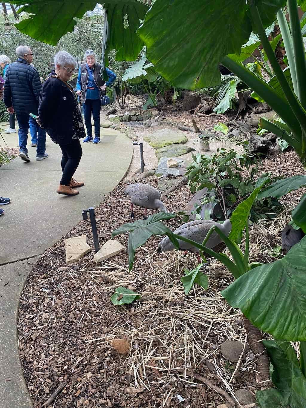 Taronga Zoo Wildlife Park : August 2025 Public Tour Image -68ae45da049f7
