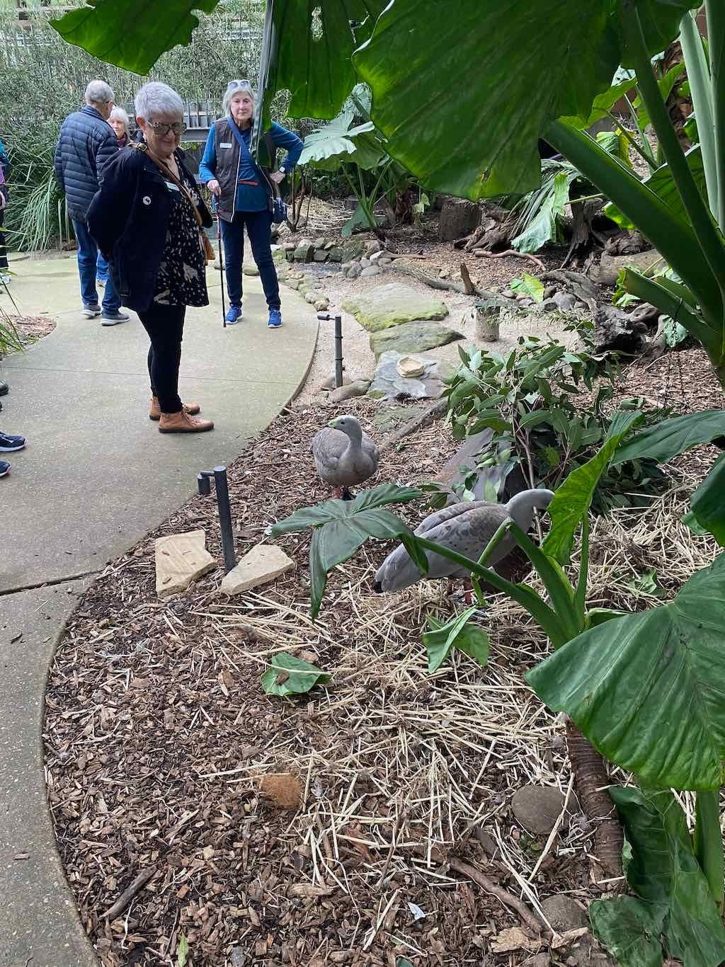 Taronga Zoo Wildlife Park : August 2025 Public Tour Image -68ae45da4dc40
