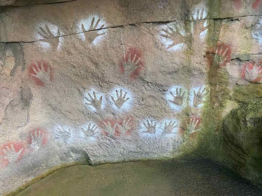 Taronga Zoo Wildlife Park : August 2025 Public Tour Image -68ae45e9e35cc