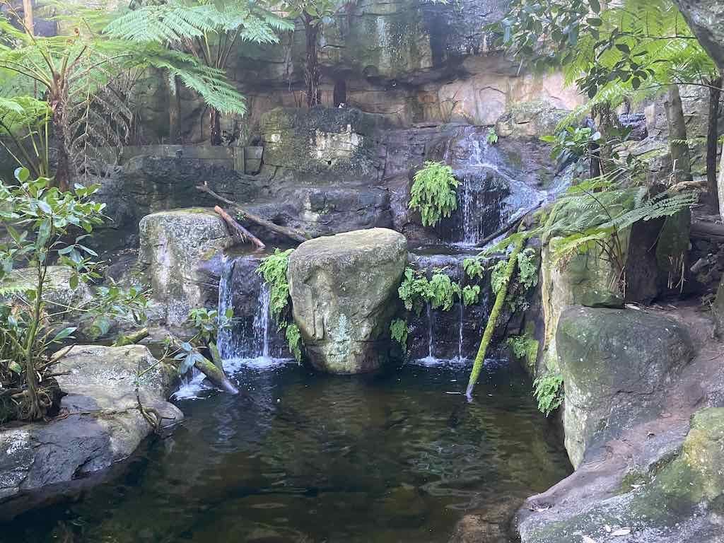 Taronga Zoo Wildlife Park : August 2025 Public Tour Image -68ae45eba3e07