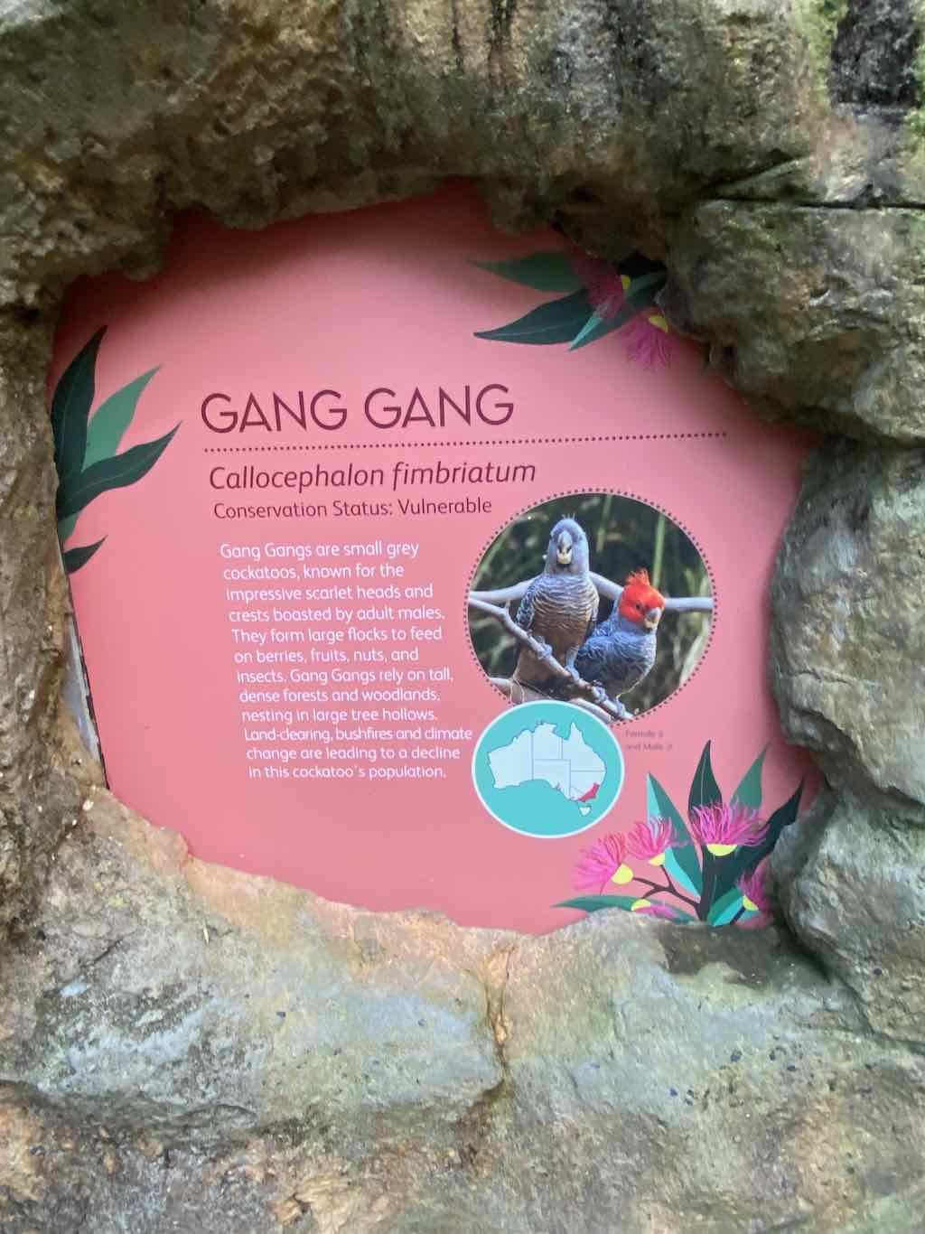 Taronga Zoo Wildlife Park : August 2025 Public Tour Image -68ae45ed418b7