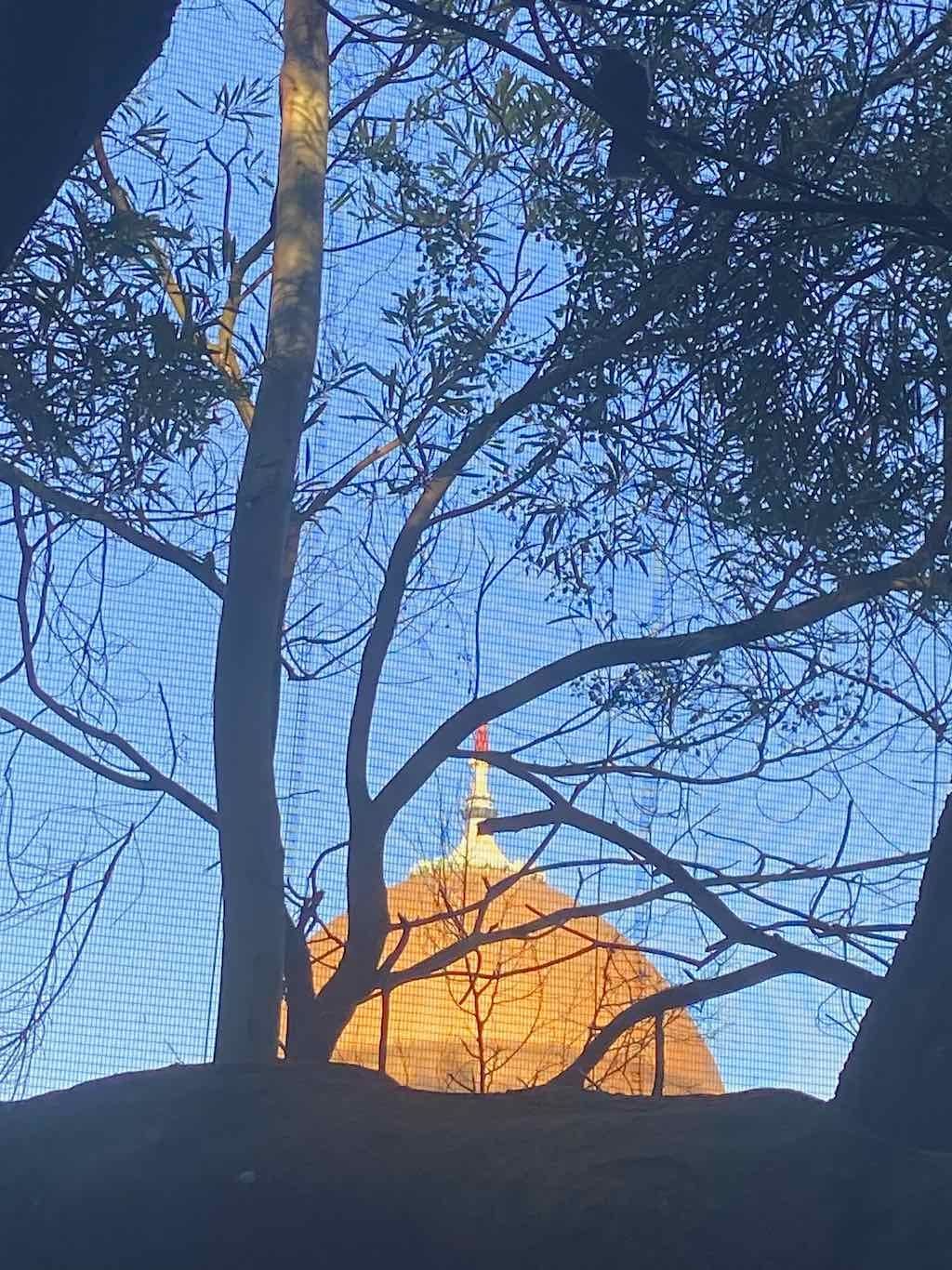 Taronga Zoo Wildlife Park : August 2025 Public Tour Image -68ae45ed8dd3a