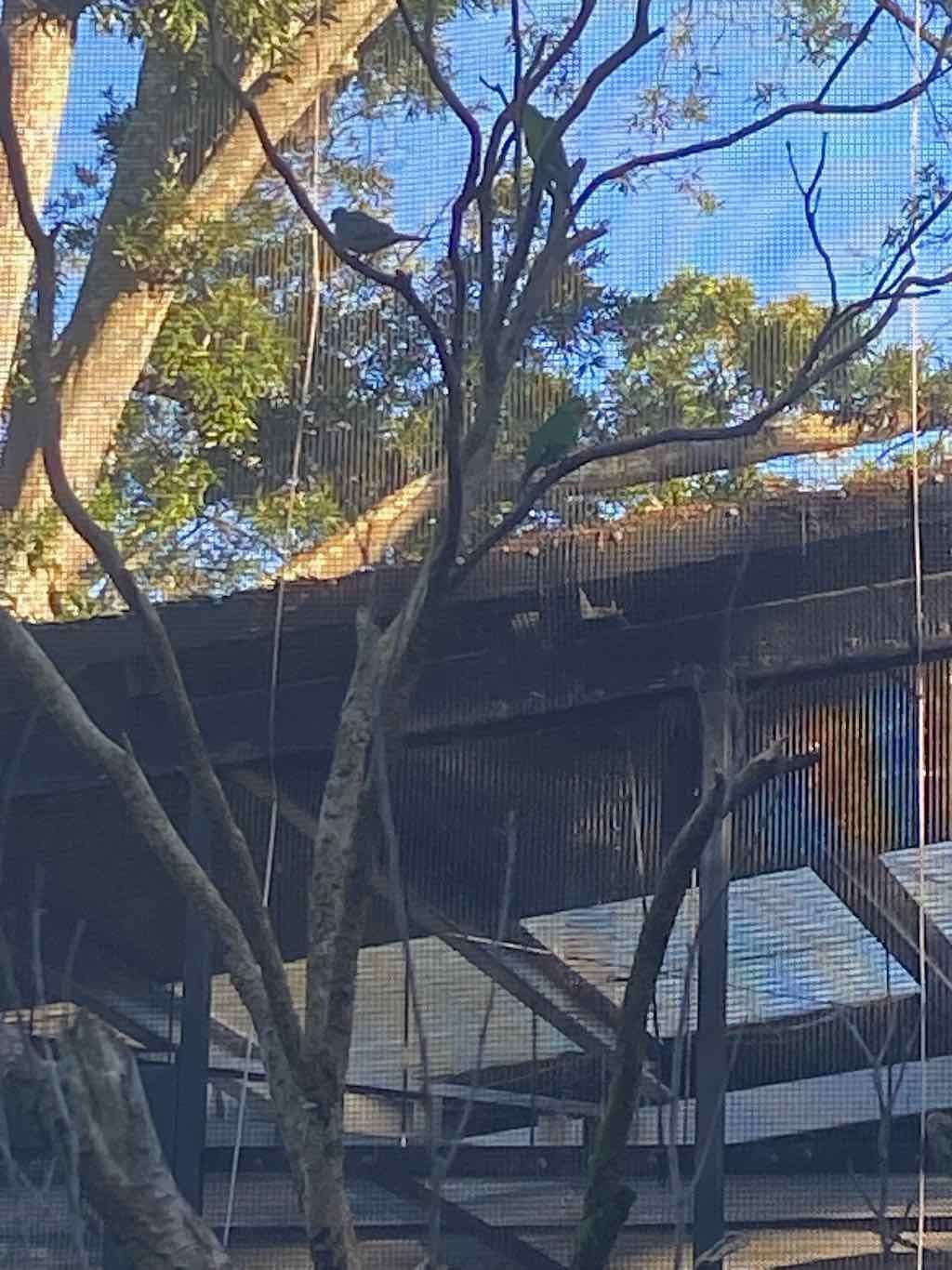Taronga Zoo Wildlife Park : August 2025 Public Tour Image -68ae45eddc8c0