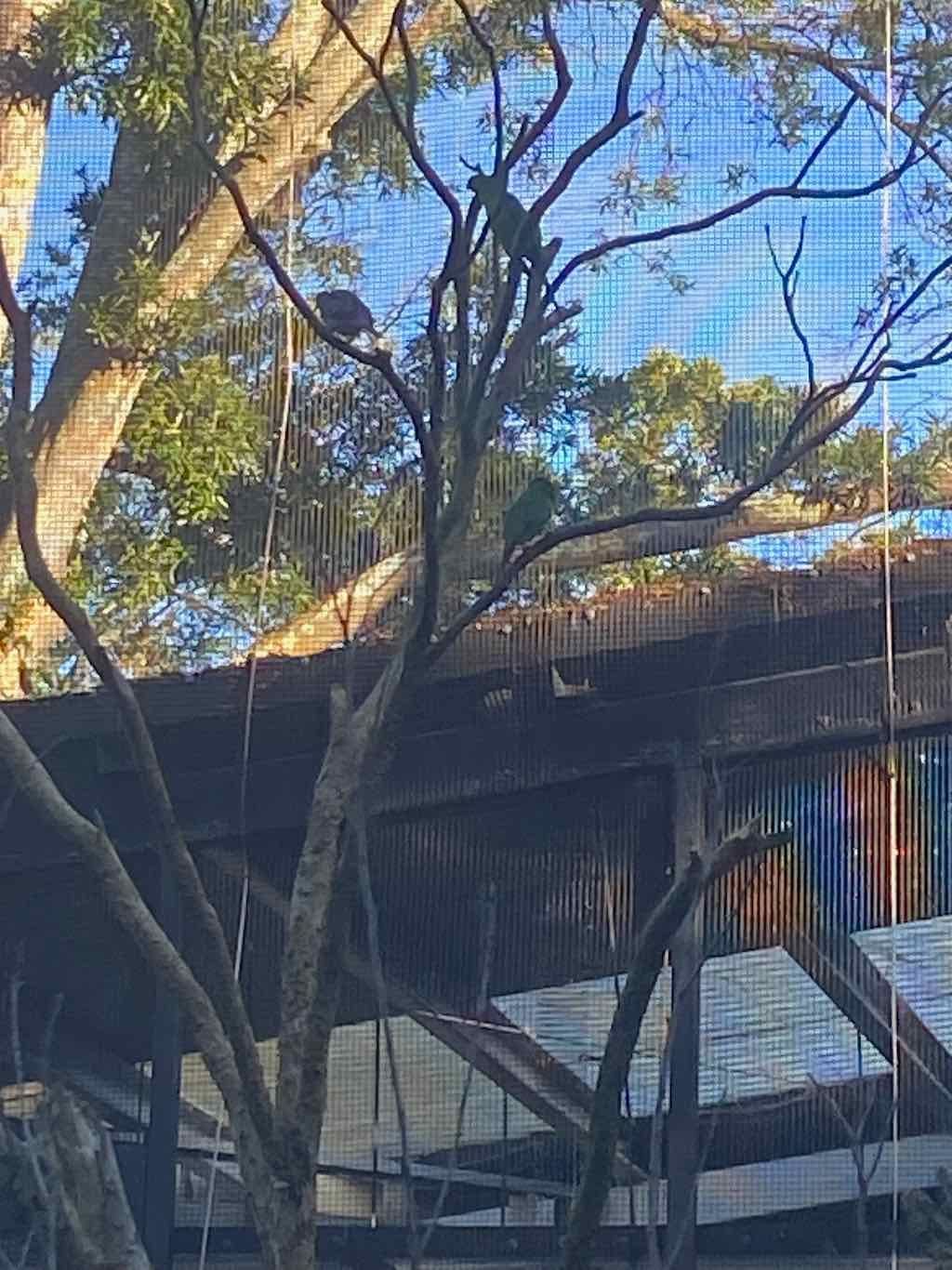 Taronga Zoo Wildlife Park : August 2025 Public Tour Image -68ae45ee3711a