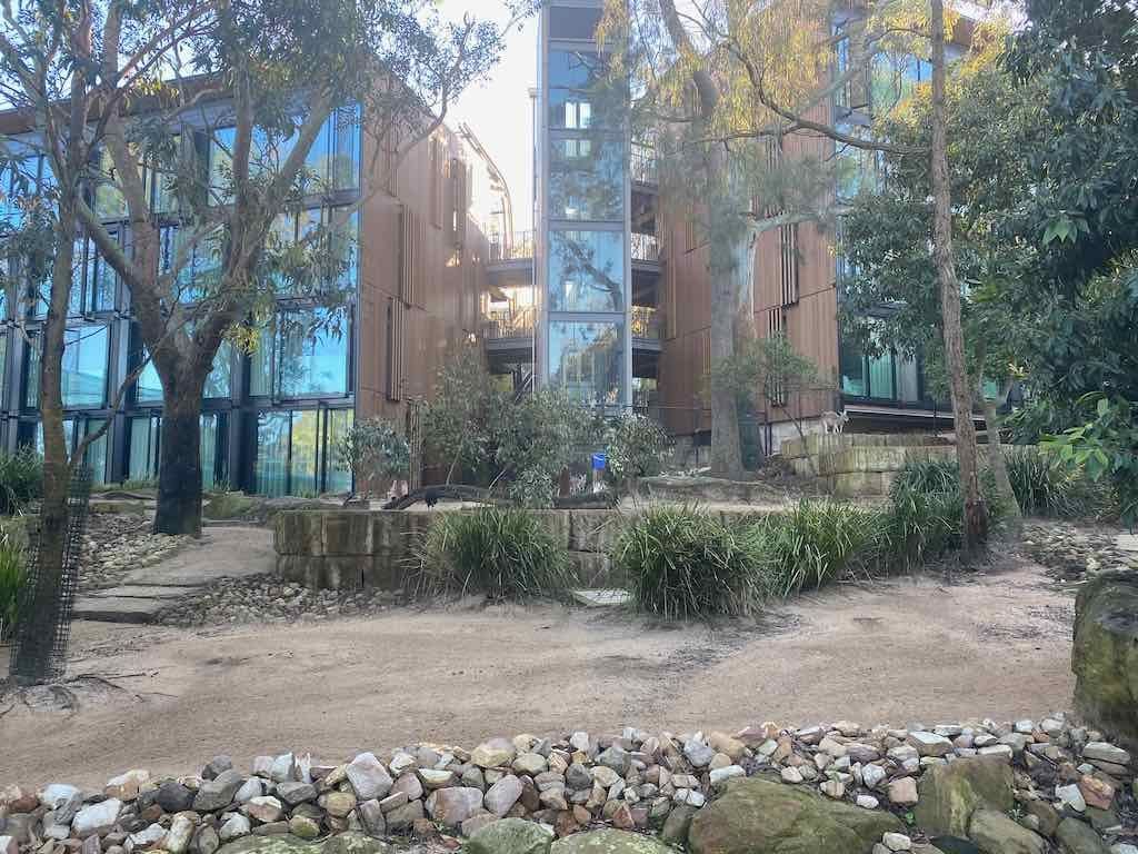 Taronga Zoo Wildlife Park : August 2025 Public Tour Image -68ae45ee871ca