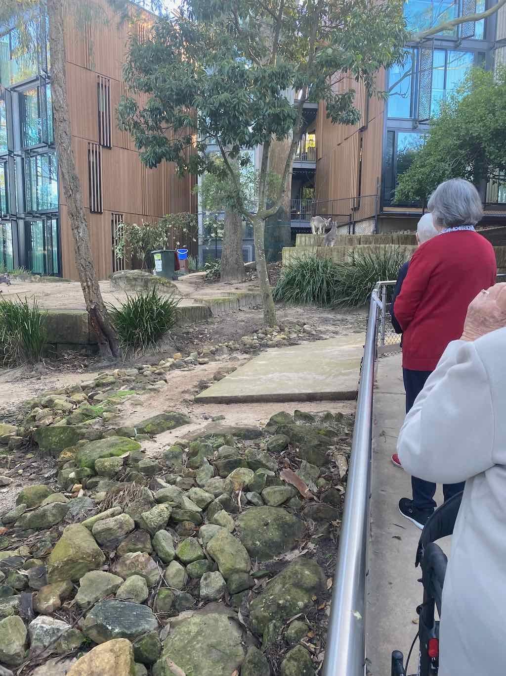 Taronga Zoo Wildlife Park : August 2025 Public Tour Image -68ae45eed35fa