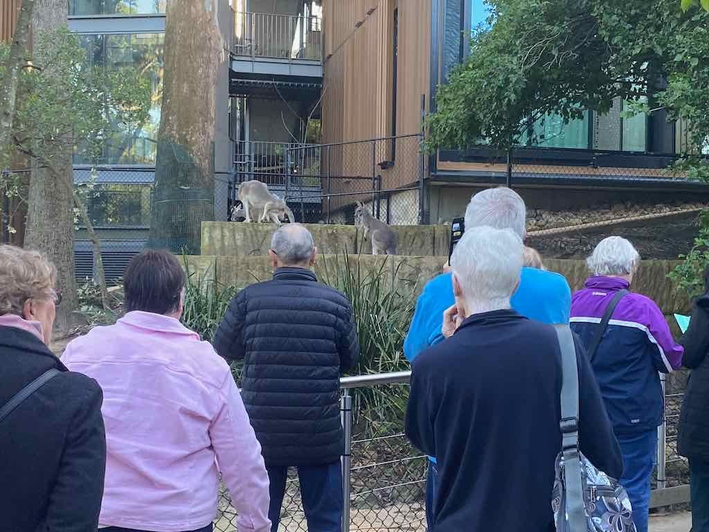 Taronga Zoo Wildlife Park : August 2025 Public Tour Image -68ae45ef5f04a