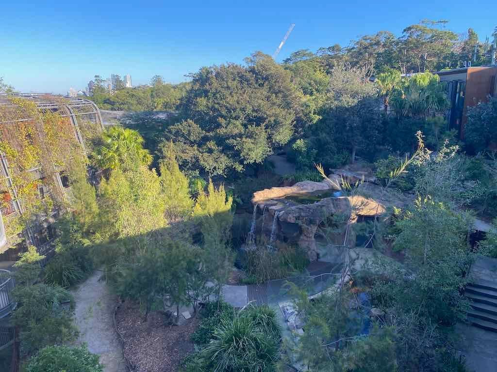 Taronga Zoo Wildlife Park : August 2025 Public Tour Image -68ae45f15bfa4