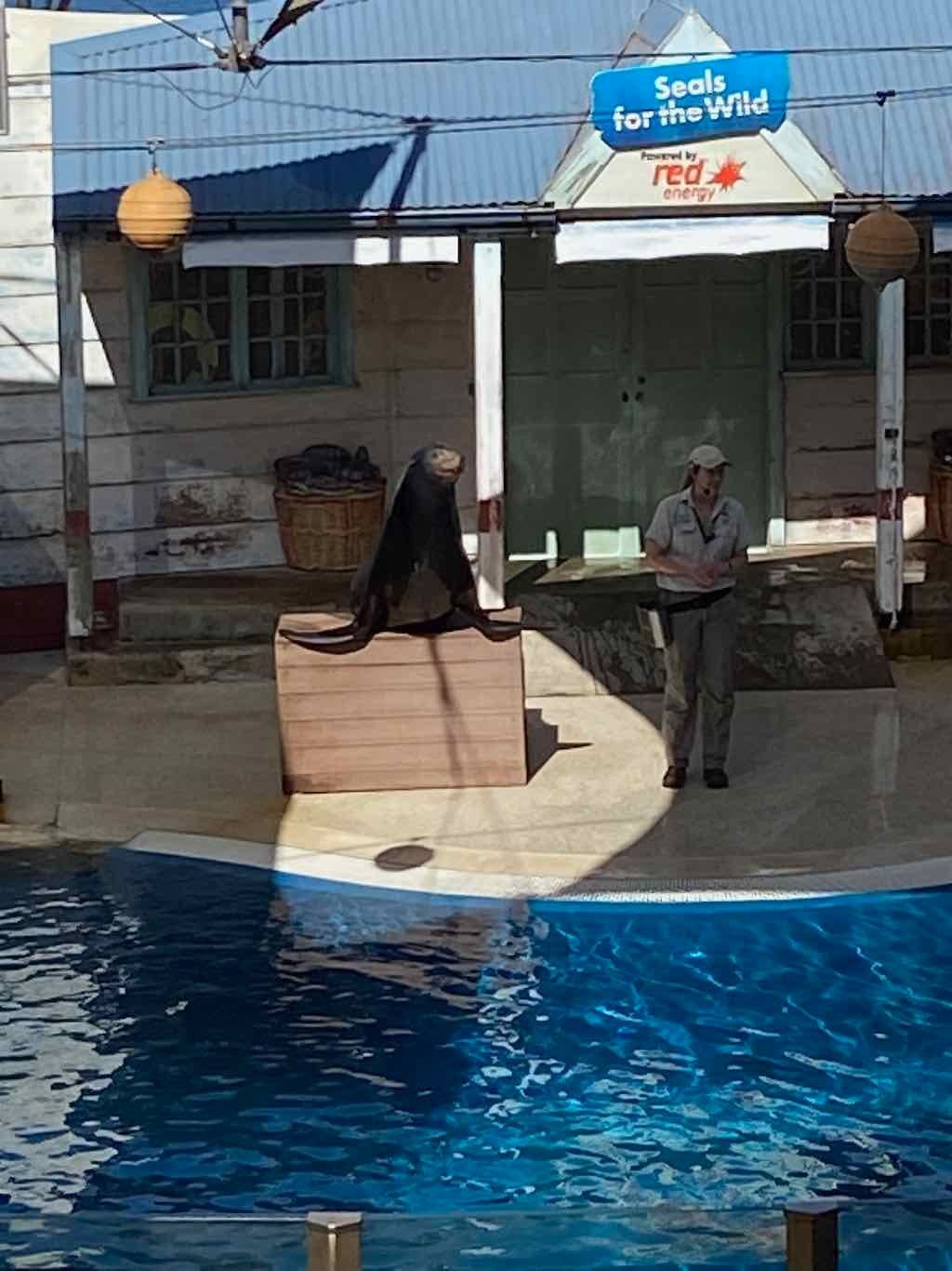 Taronga Zoo Wildlife Park : August 2025 Public Tour Image -68ae45fa9598b