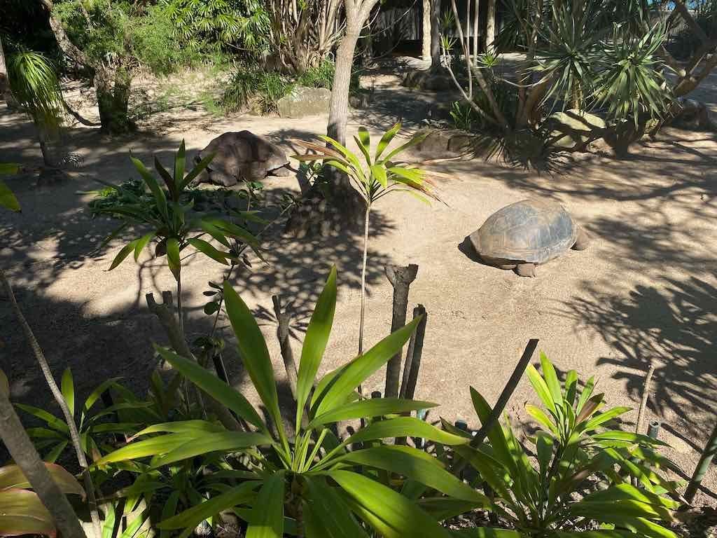 Taronga Zoo Wildlife Park : August 2025 Public Tour Image -68ae45face9ba