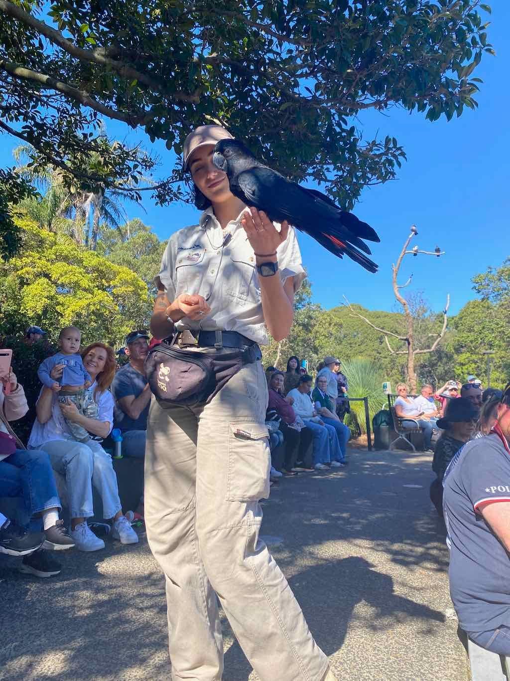 Taronga Zoo Wildlife Park : August 2025 Public Tour Image -68ae45fc85fab