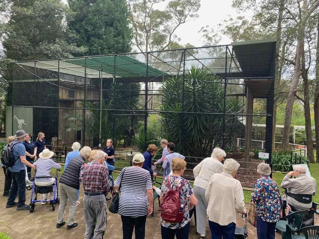 Alloura Village Day Tour : Banana Cabbana 9th September 2025 Image -68bfda073e18a