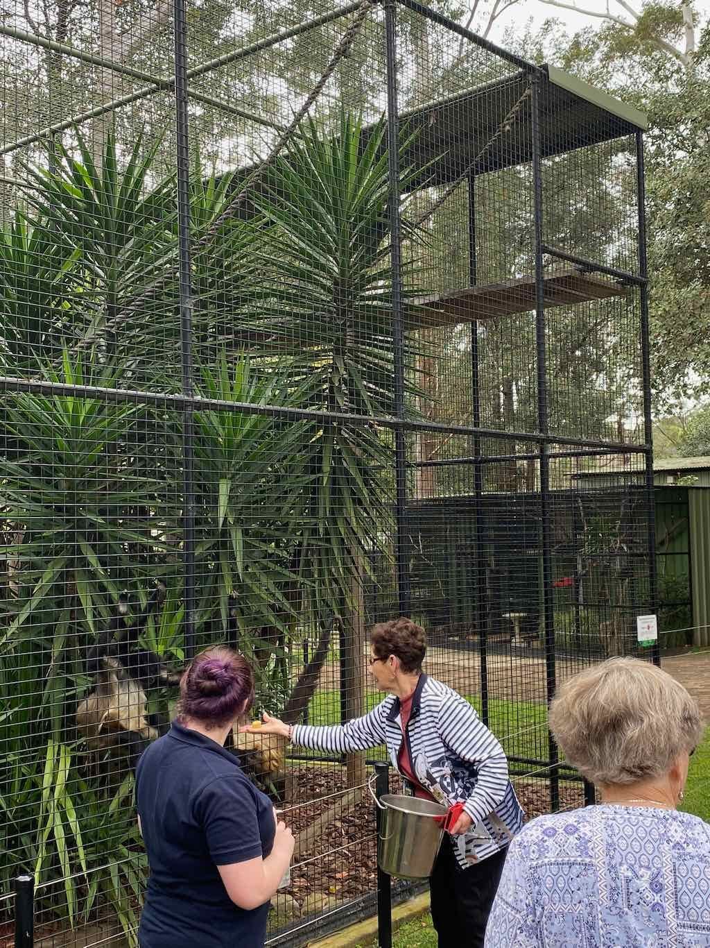 Alloura Village Day Tour : Banana Cabbana 9th September 2025 Image -68bfda096a725