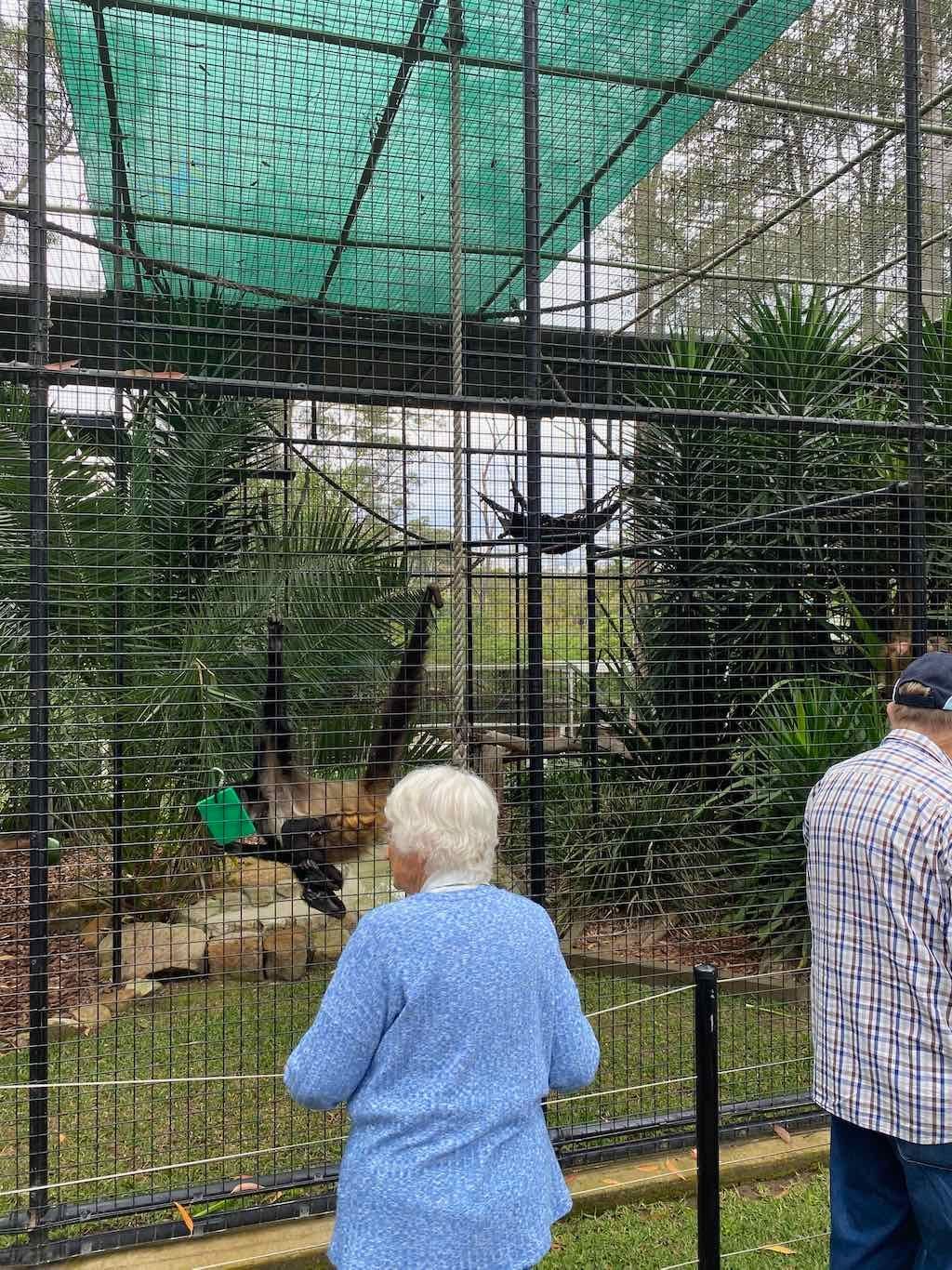 Alloura Village Day Tour : Banana Cabbana 9th September 2025 Image -68bfda09af147