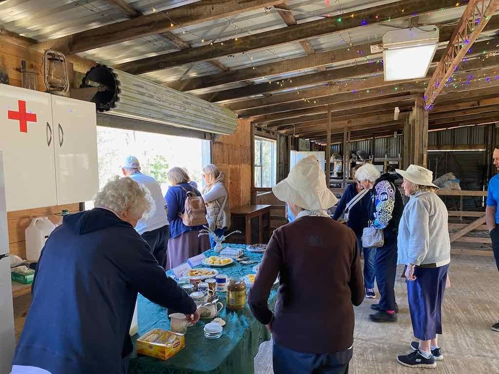 Dairy Road Alpaca Farm Public Day Tour 24th September 2025 Image -68d46fa308d46