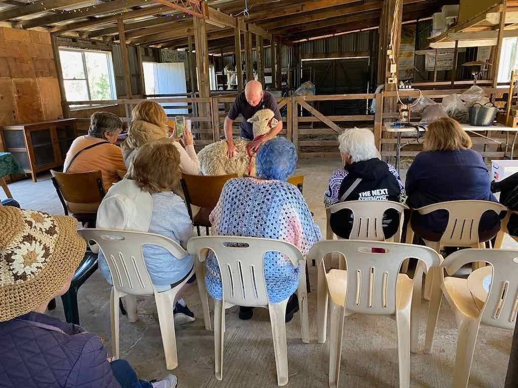 Dairy Road Alpaca Farm Public Day Tour 24th September 2025 Image -68d46fa499f14