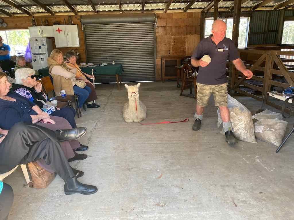 Dairy Road Alpaca Farm Public Day Tour 24th September 2025 Image -68d46fa559088