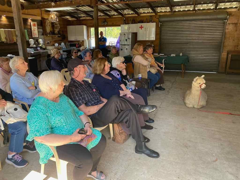 Dairy Road Alpaca Farm Public Day Tour 24th September 2025 Image -68d46fa593c15