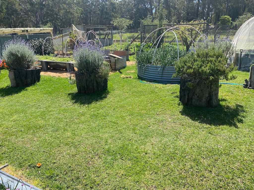 Dairy Road Alpaca Farm Public Day Tour 24th September 2025 Image -68d46fd739014